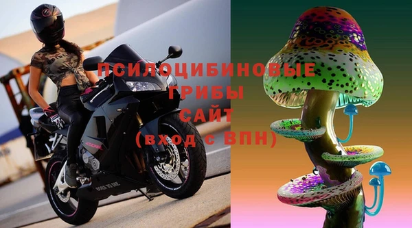 ПСИЛОЦИБИНОВЫЕ ГРИБЫ Бронницы