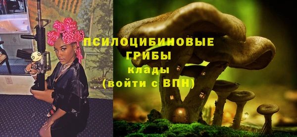 соль ск Белоозёрский