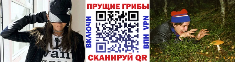 mega онион купить цена Боготол Псилоцибиновые грибы Cubensis