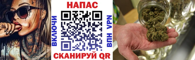Конопля план  Боготол 
